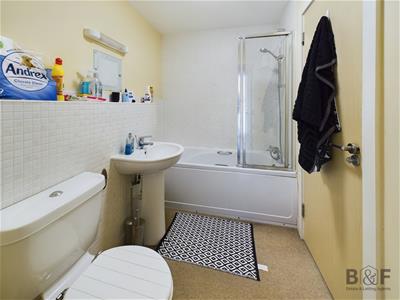 Picture 8